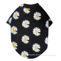/msite/products/detail/productid/60102076/id/1037863.html
